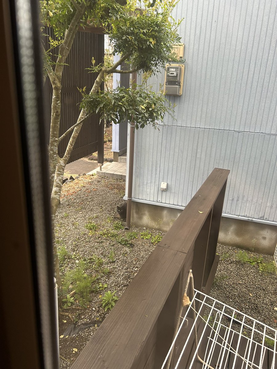 オハヨー