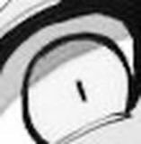 Completely Average Shark🦈 tweet media