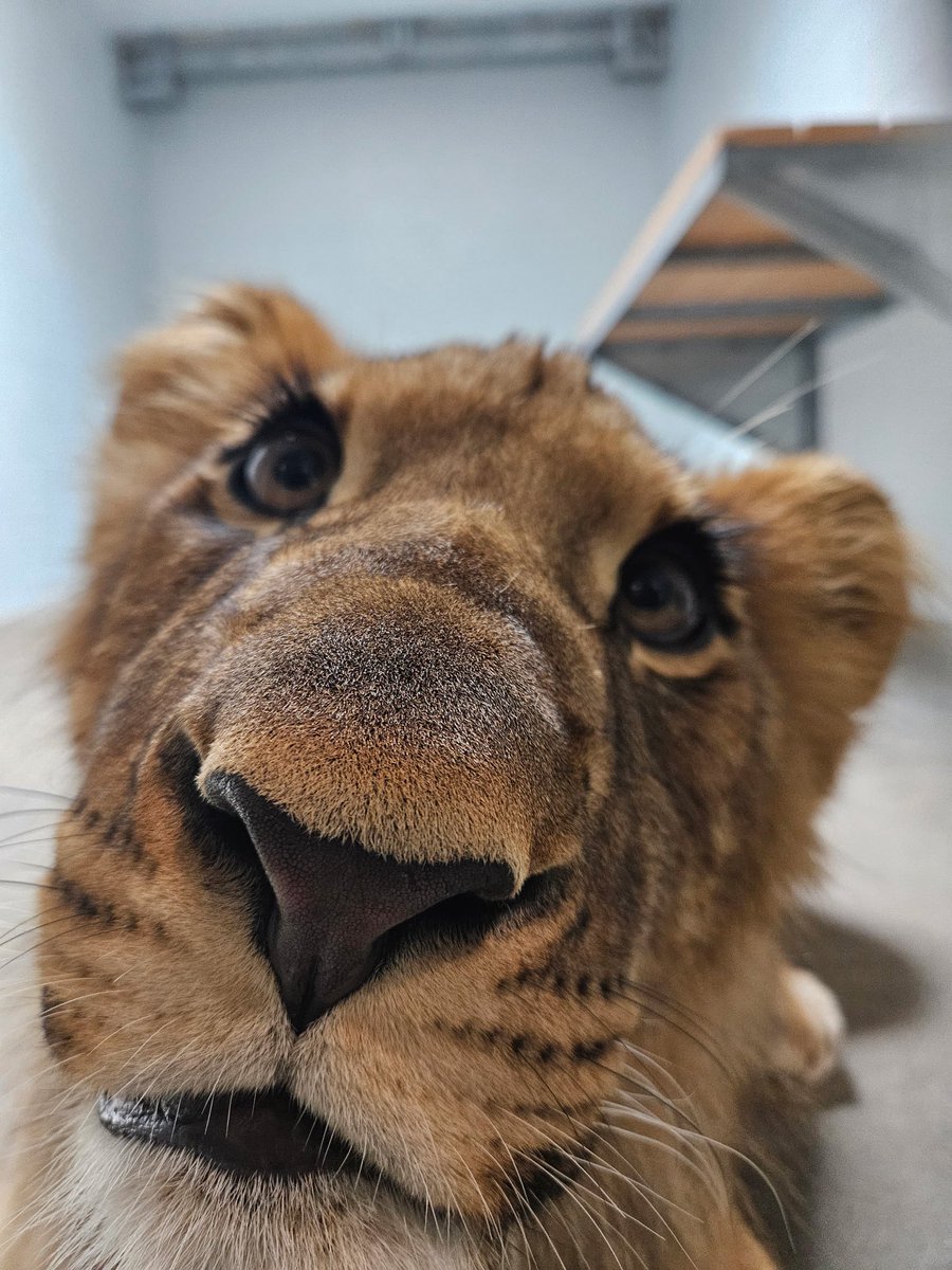 Fort Worth Zoo tweet media