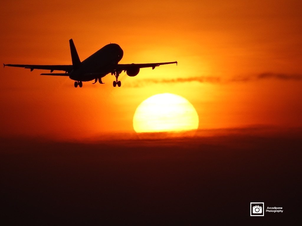 Arcadipanephotography tweet media