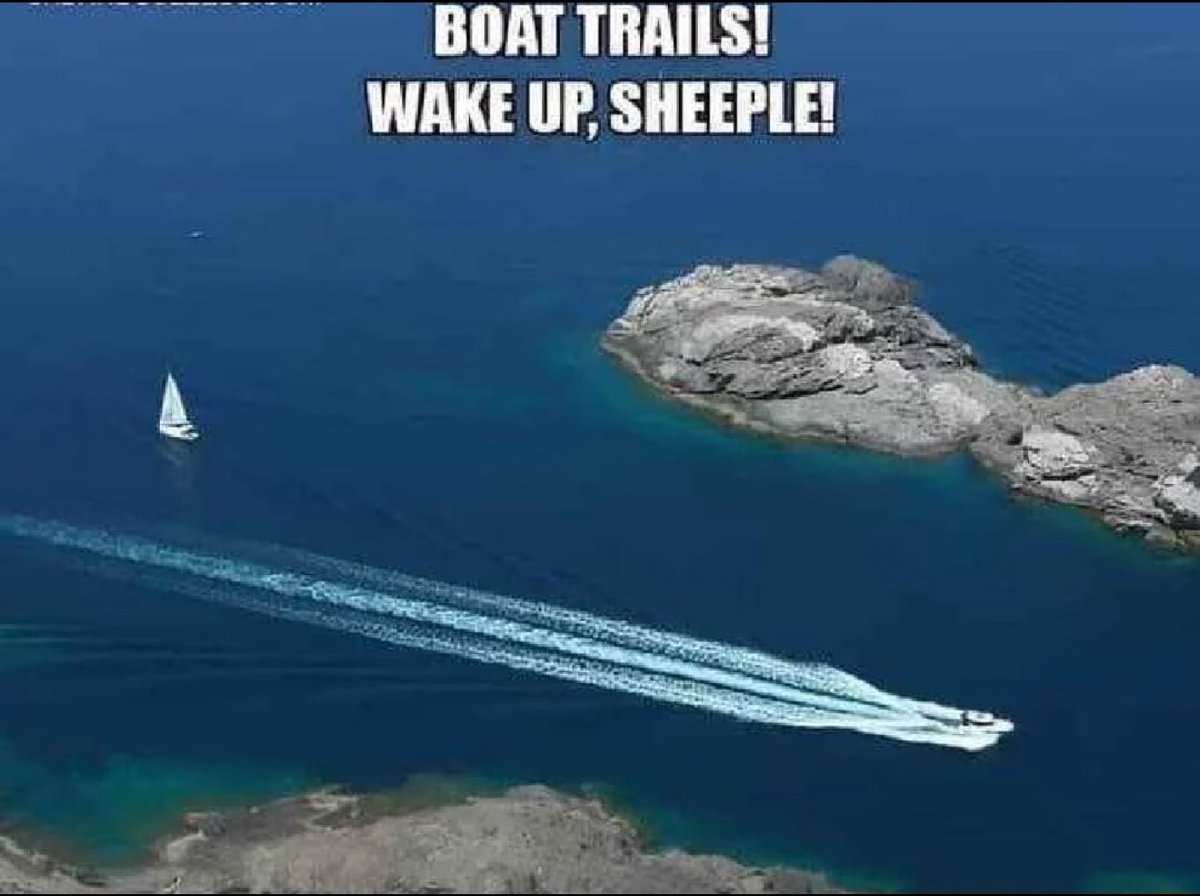 Ron Williams tweet media