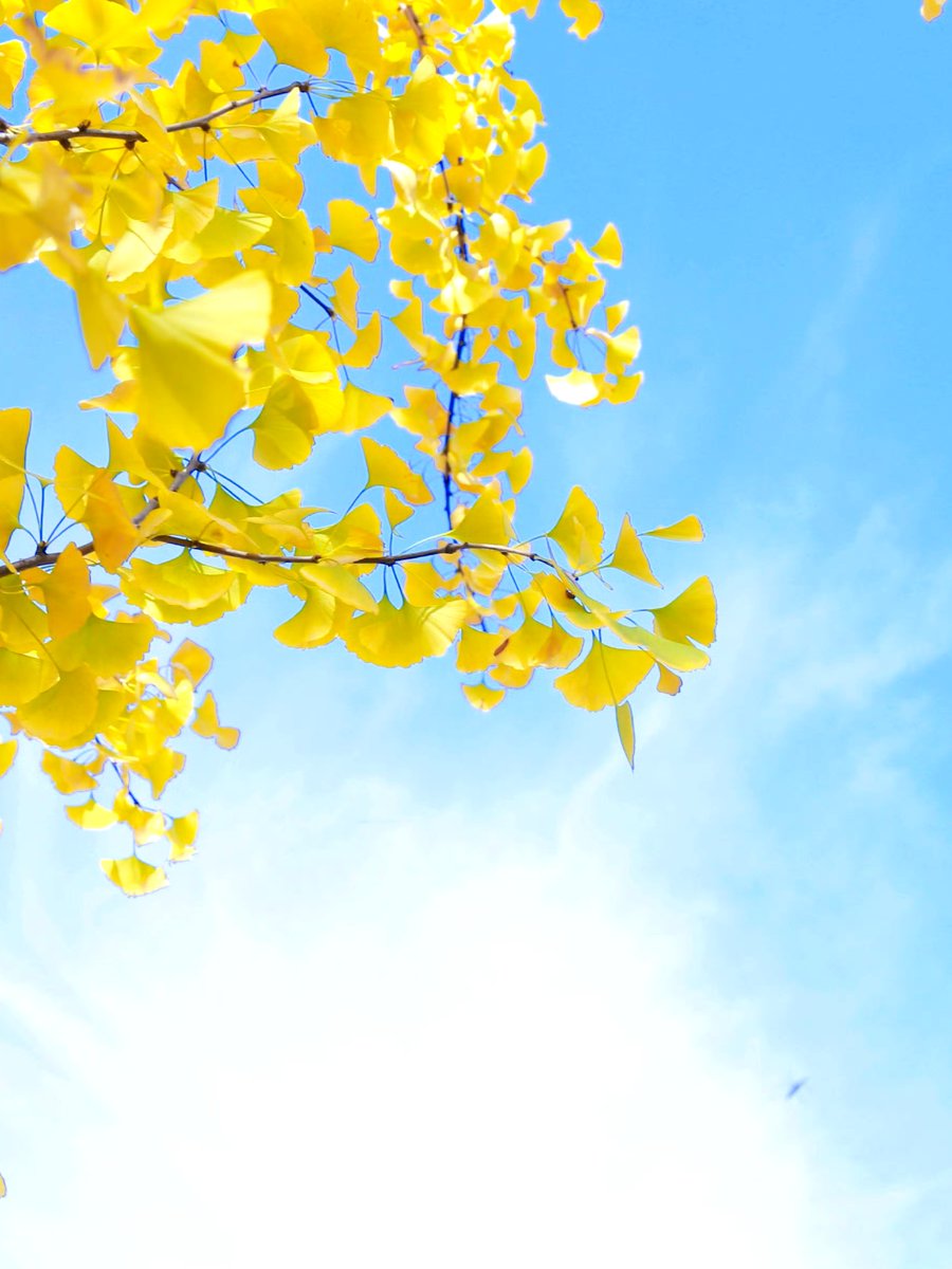 Barbara Tall tweet media