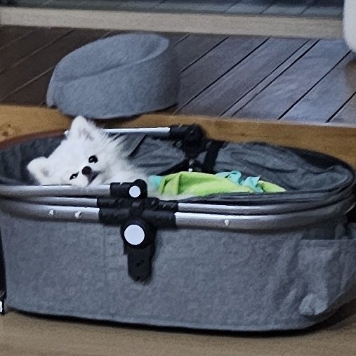 두르강튀아 tweet media