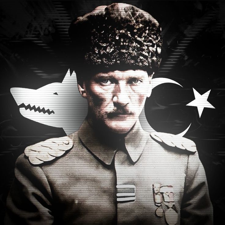 Thend ﺥ 𐱅𐰇𐰼𐰰 tweet media