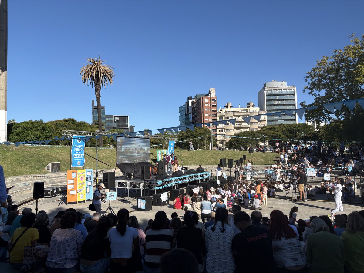 Daniel Sturla tweet media