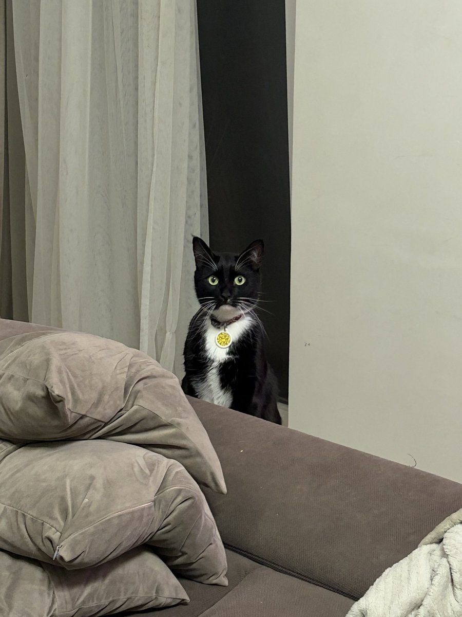 Санта tweet media