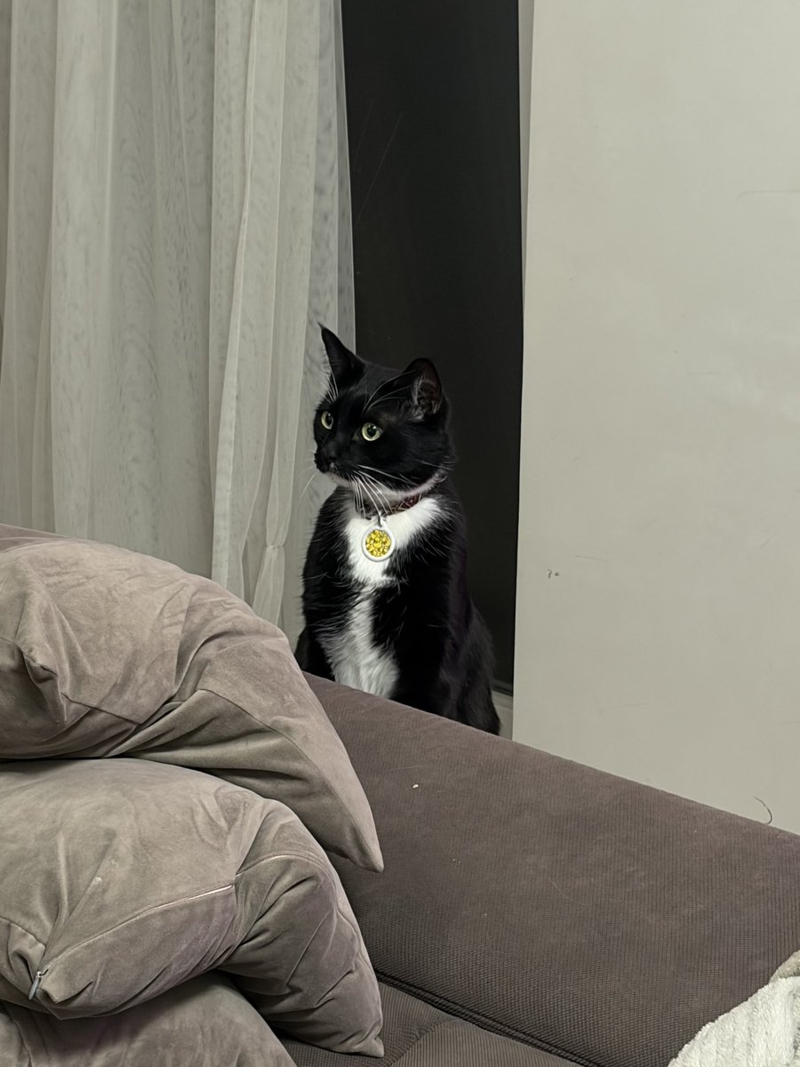 Санта tweet media