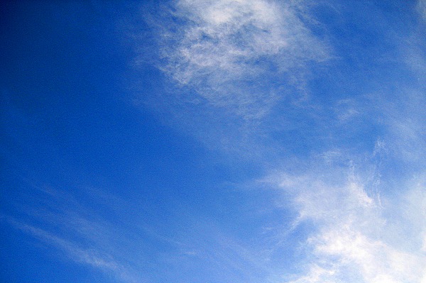 まっち@懸賞垢🎯 tweet media