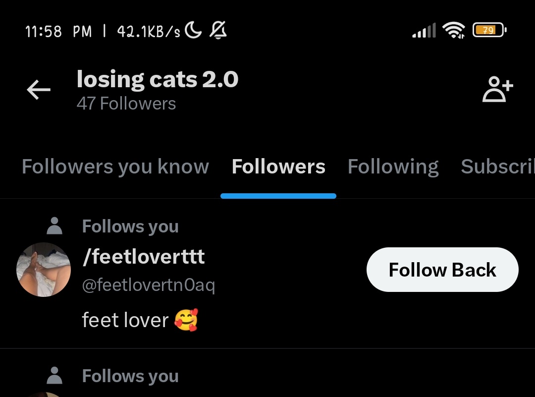 losing cats 2.0 tweet media