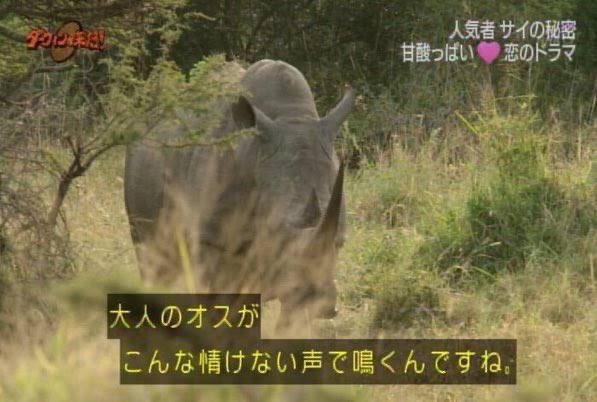 なめたけ汁 tweet media