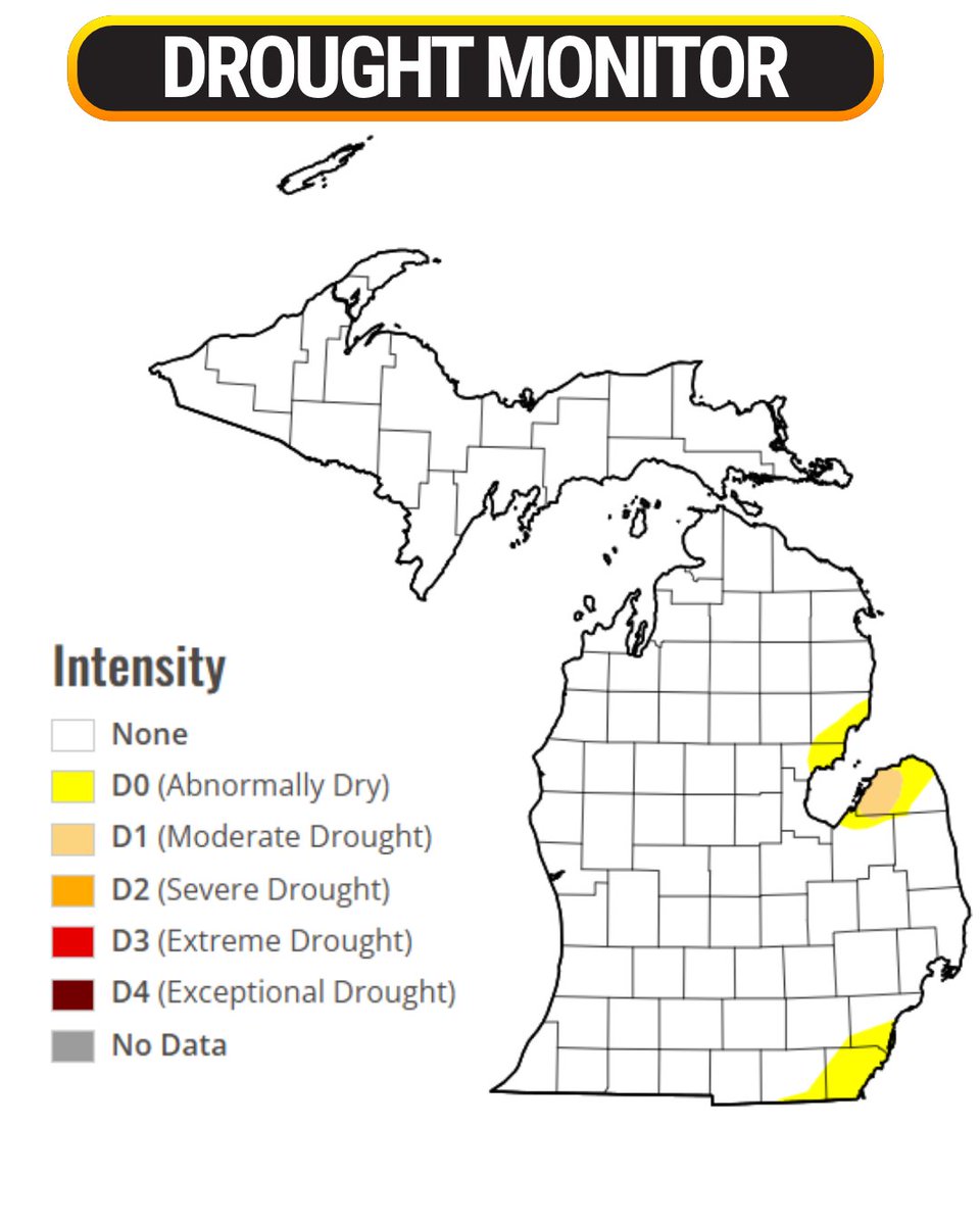 Michigan Storm Chasers tweet media