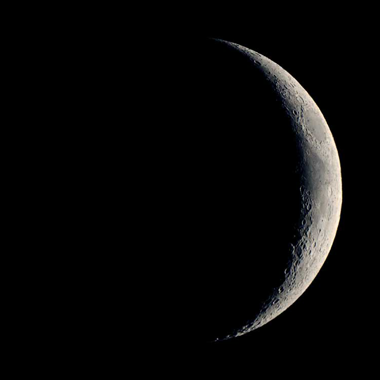 My Moon Phase tweet media