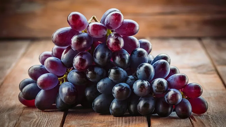 PetSuitesOC's tweet image. Grapes: Why This Popular Fruit Is a Big No-No for Pets

petsuites.com/grapes-why-thi…

#dogblog #pettips #doggrapes #grapes #pethealth