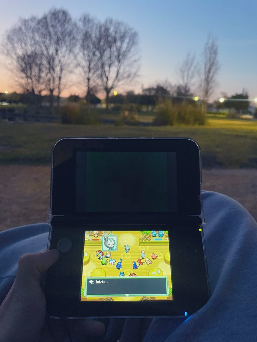 danixil ⭑ tweet media