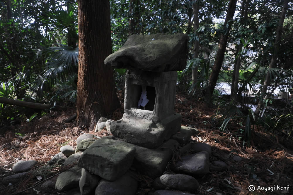 青柳健二＠猫はなぜ祭られたのか？旅のエッセイ『全国の猫神様をめぐる』 tweet media