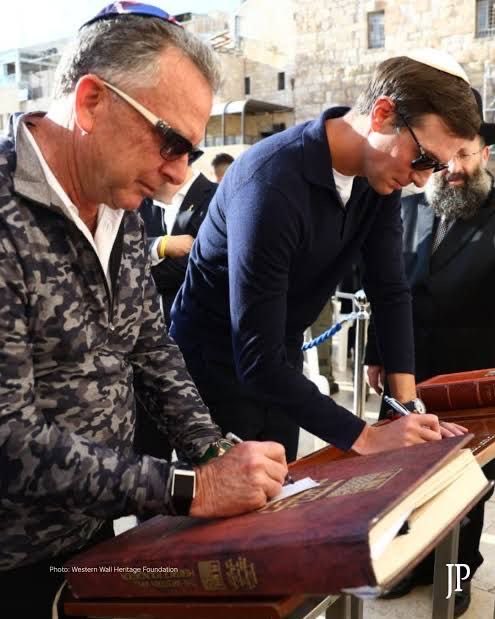 ALI 313🔻🔻 tweet media