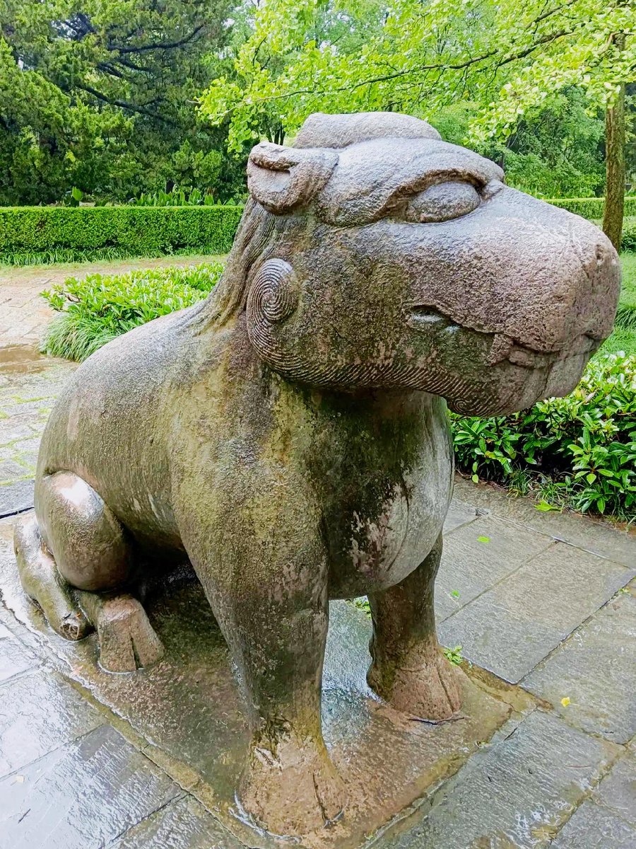 Om Youssef12 tweet media