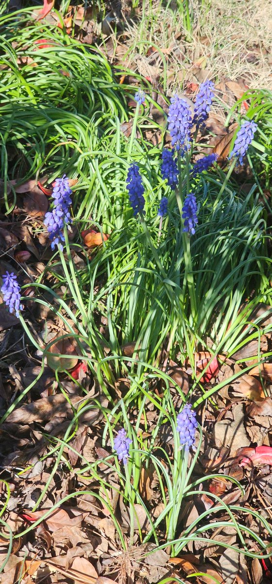 🍀Jenn 💗 tweet media