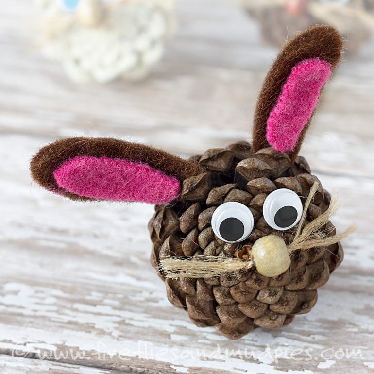 365 SouthwestFlorida tweet media