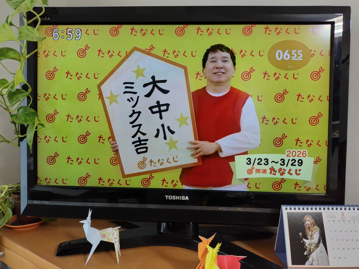 SUN CHILD tweet media