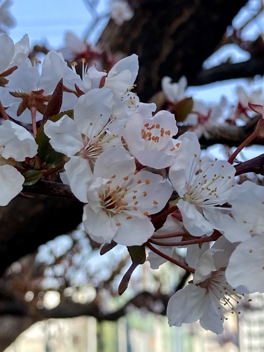 元テサキ製作所（仮） tweet media