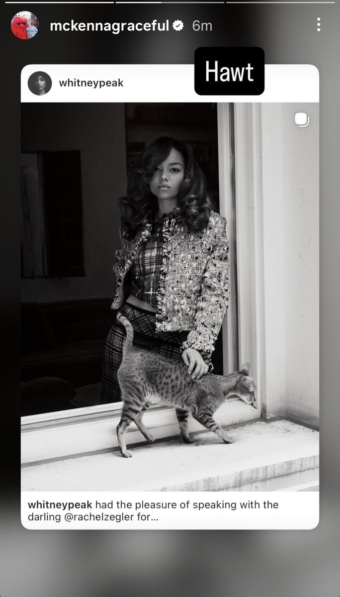 maydove thinker 💭 tweet media