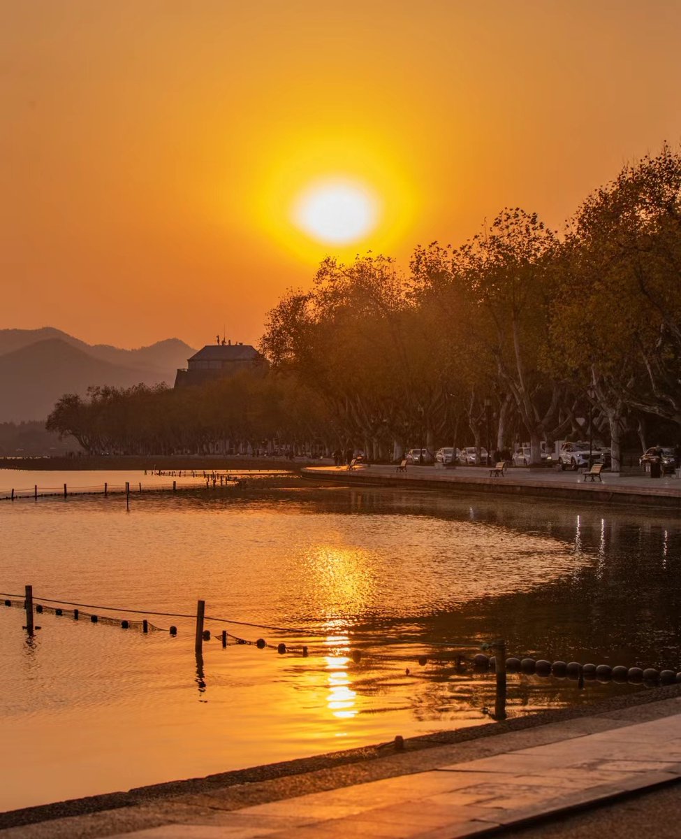 Сергей Сергеевич tweet media