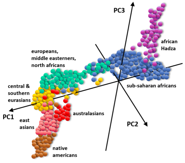 Mr. Toad tweet media