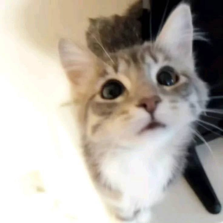 𝐁𝐞𝐧𝐲🤍 tweet media