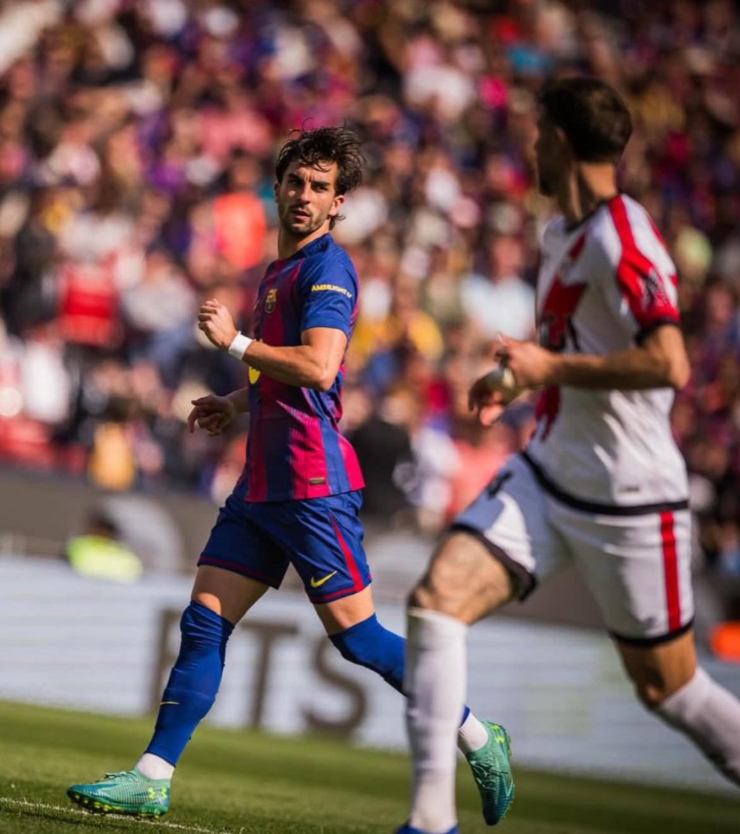 📸🦈 tweet media