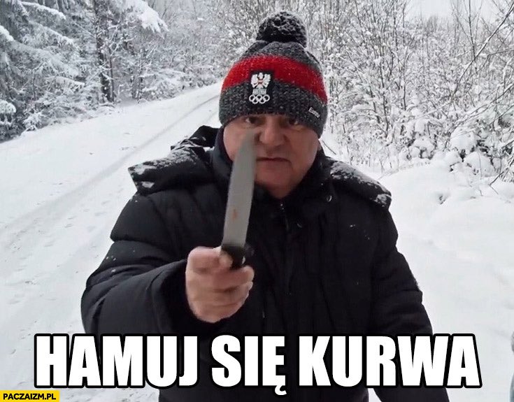 A regular fish tweet media