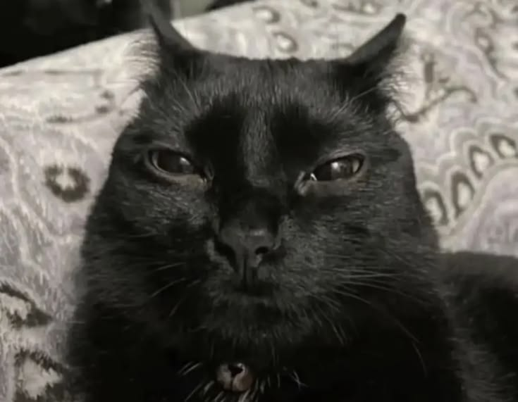 🦇𝔏𝔬𝔟𝔬𝔱𝔬𝔪í𝔞🦇 tweet media