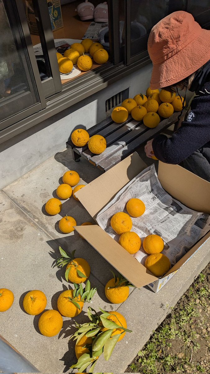 信用調査会社の中央情報センター【公式】 tweet media