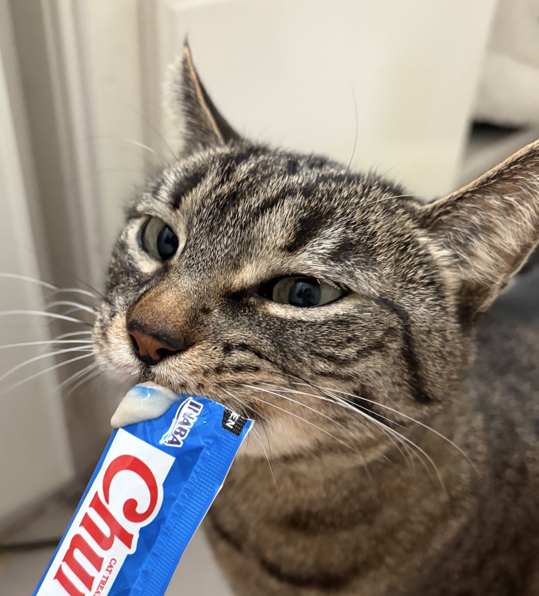 ⊹₊⟡⋆ jei ⊹₊⟡⋆ tweet media