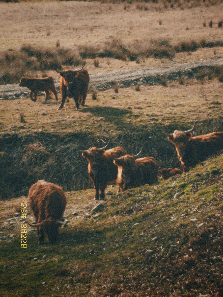 ви — рок 🤘🏻 tweet media