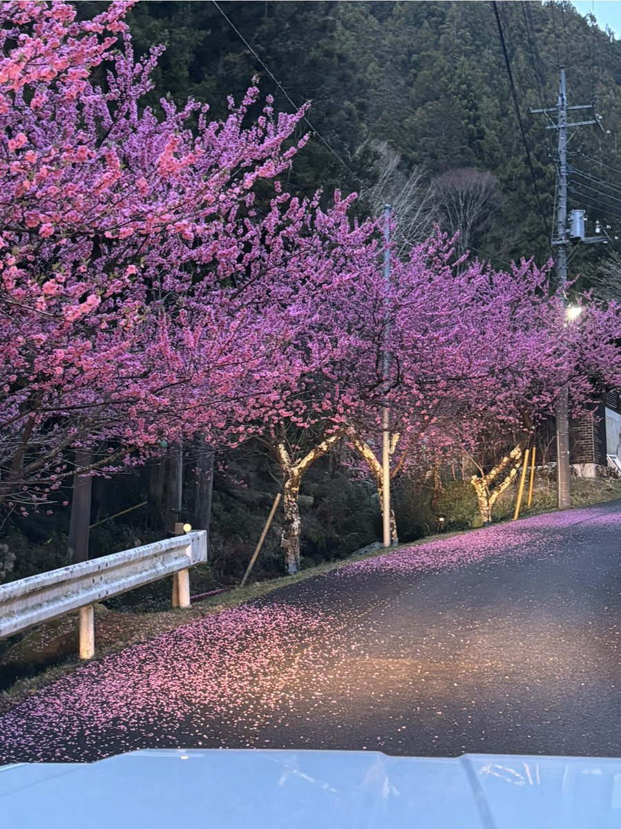 自然郷 東沢（Shizengo Higashizawa) tweet media