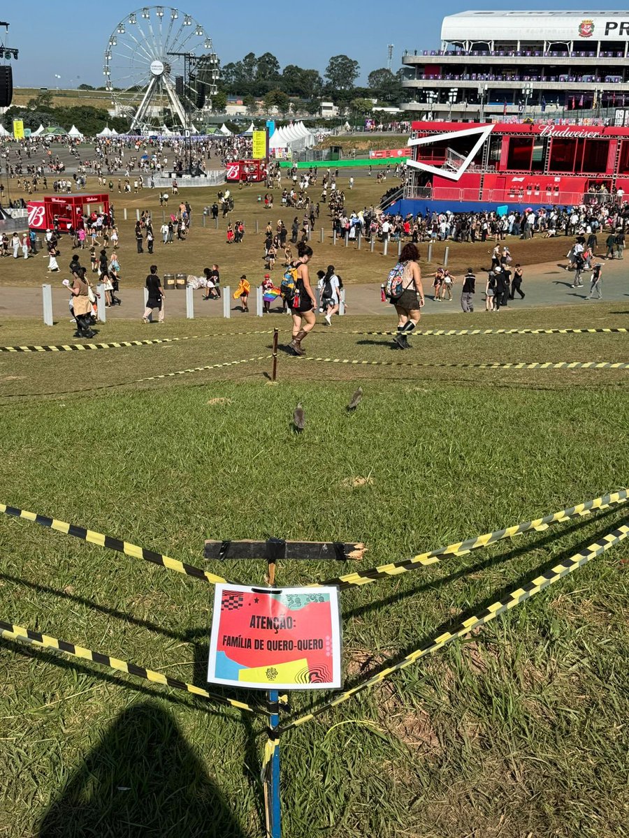 José Norberto Flesch tweet media