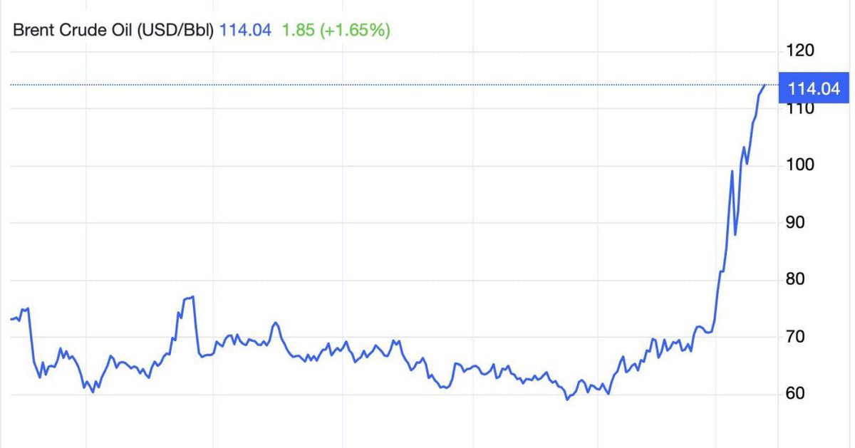 Camille Moscow 🇷🇺 🌿 ☦️ tweet media