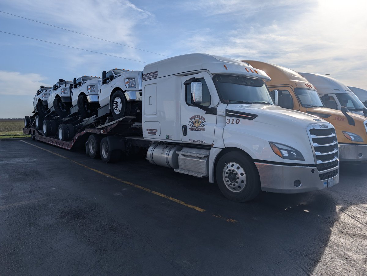 Tricky Mick.ETCFrogB tweet media