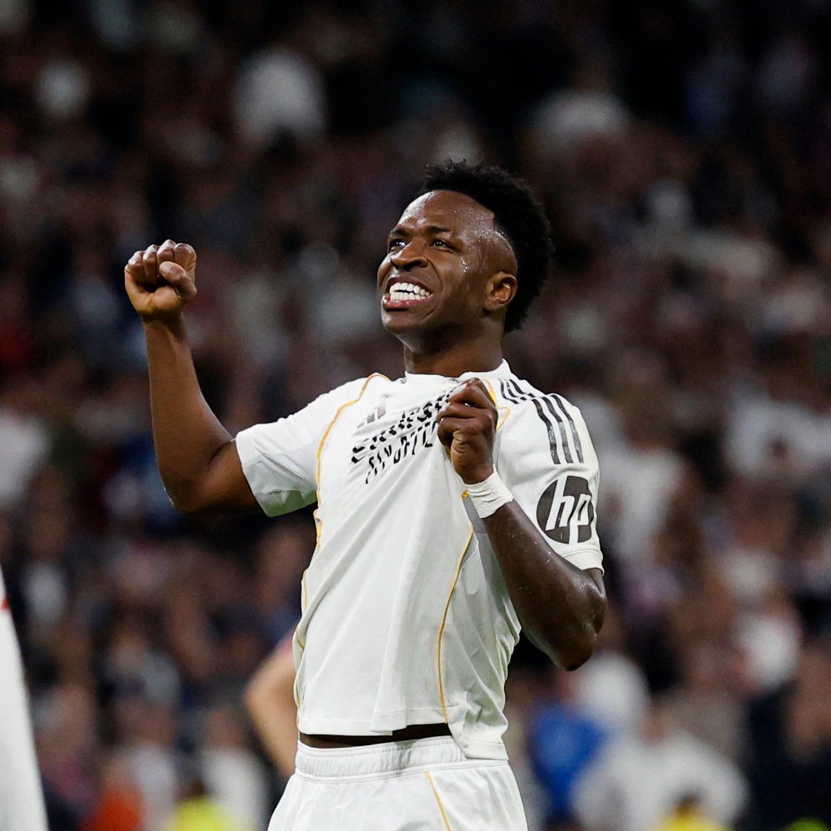 De Marke Sports tweet media