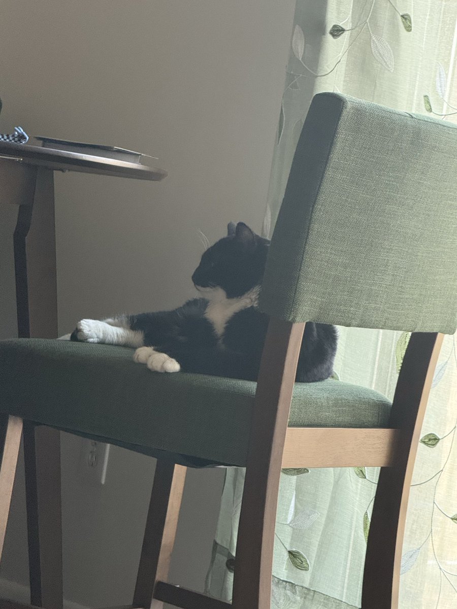 King | LL’s elbows and Nice’s Achilles’ Heel tweet media