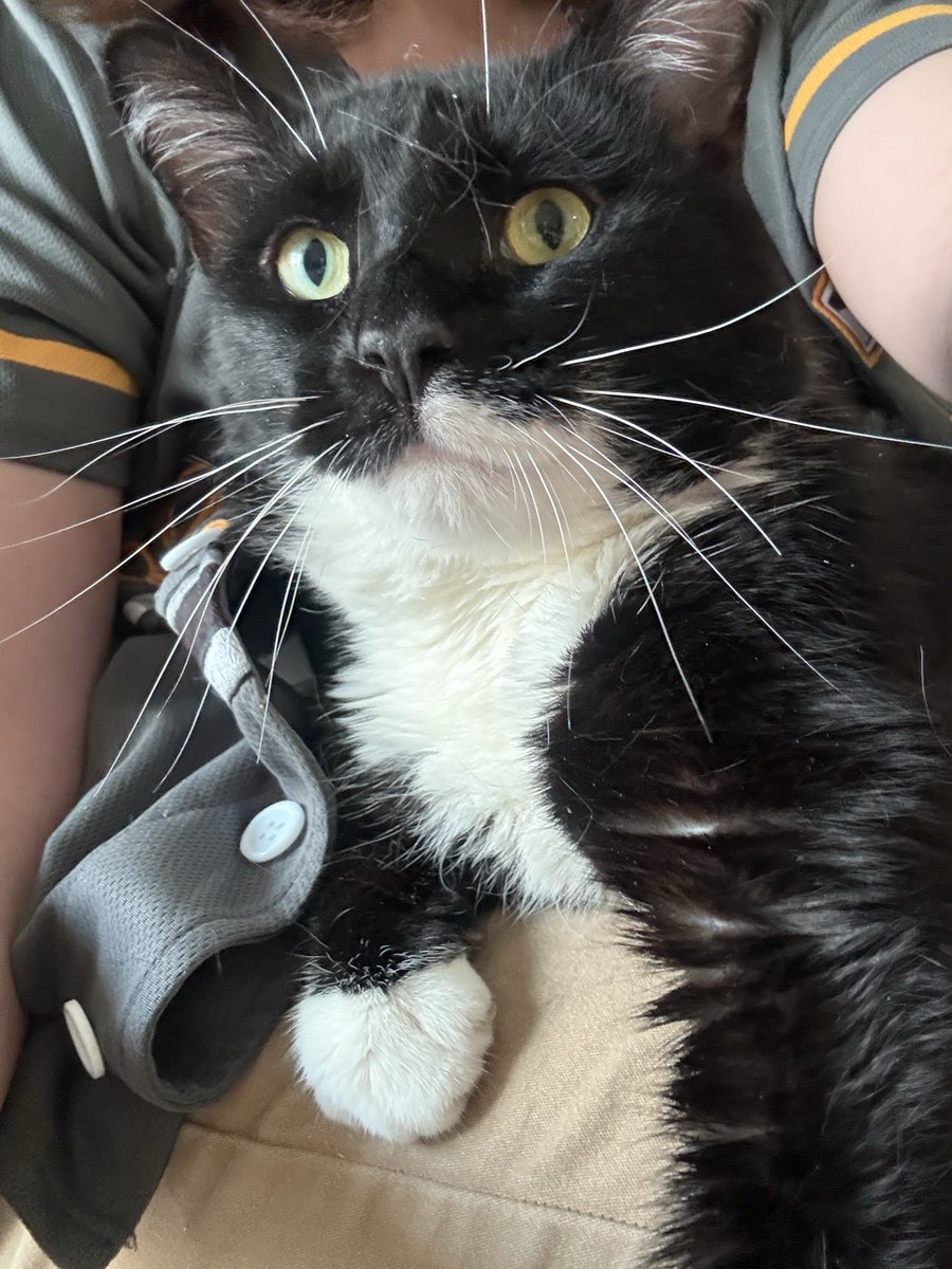 King | LL’s elbows and Nice’s Achilles’ Heel tweet media