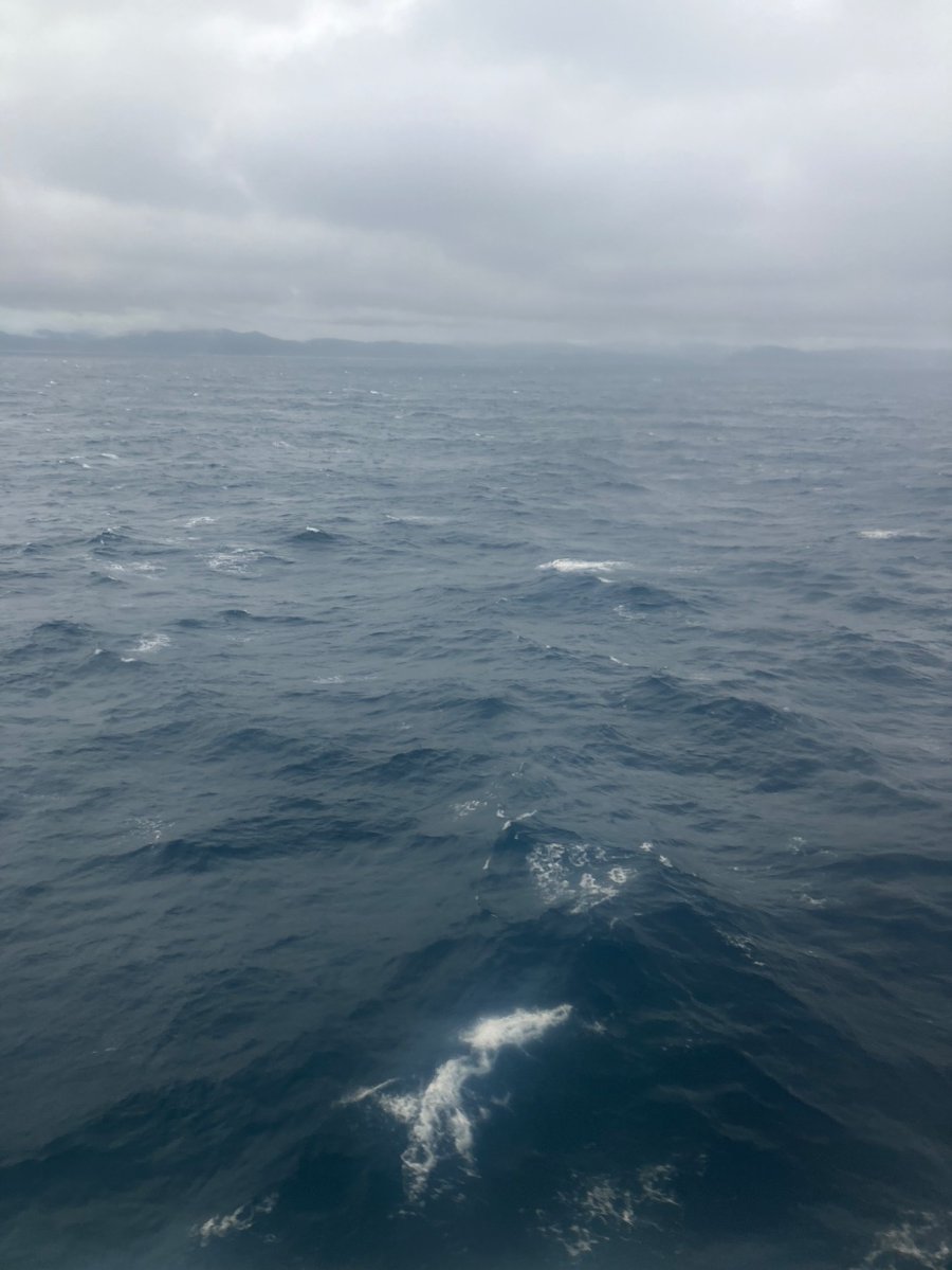 shadow2020 tweet media