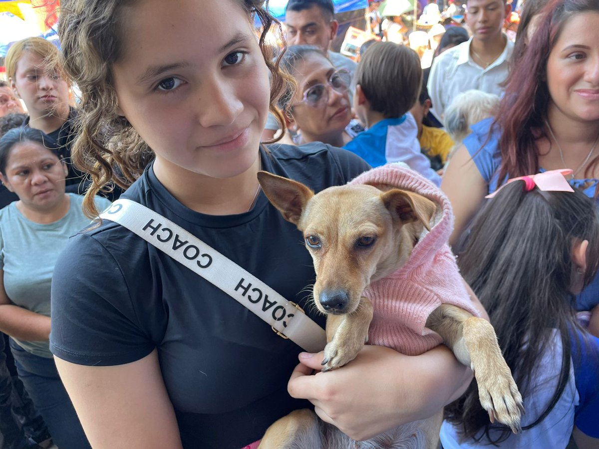 #Masaya celebra las tradicionales fiestas de #SanLázaro 🐕✨, protector de los animales. Decenas de perritos lucieron coloridos disfraces 🎭🐶, regalando sonrisas y aplausos 👏😊. La deliciosa chicha de jengibre 🥤🌿 se compartió entre todos, fortaleciendo la unión y la tradición