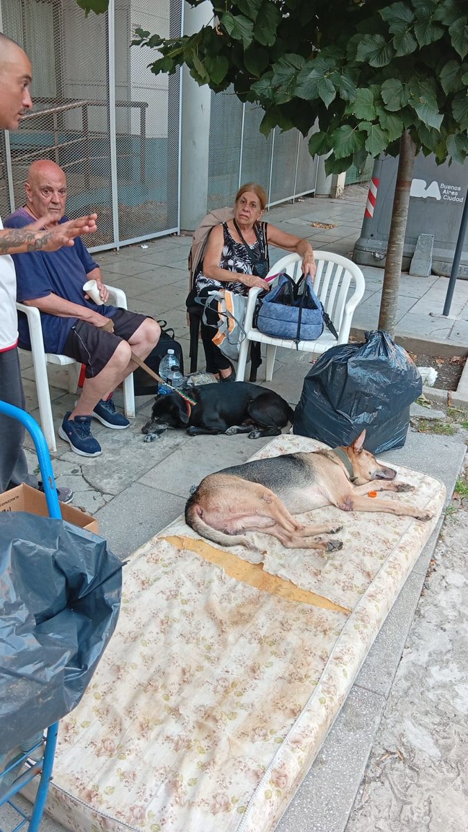 Genesis 🌸 tweet media