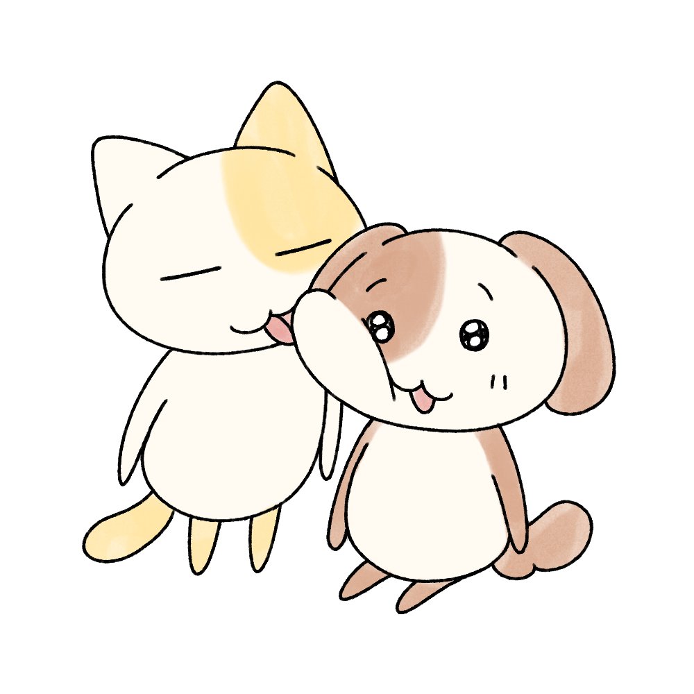 묘냥이와 멍구 (@myo_n_meong) on Twitter photo 