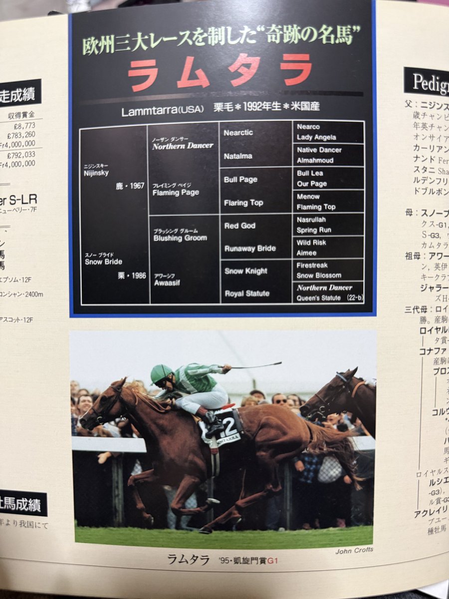 なまこ tweet media