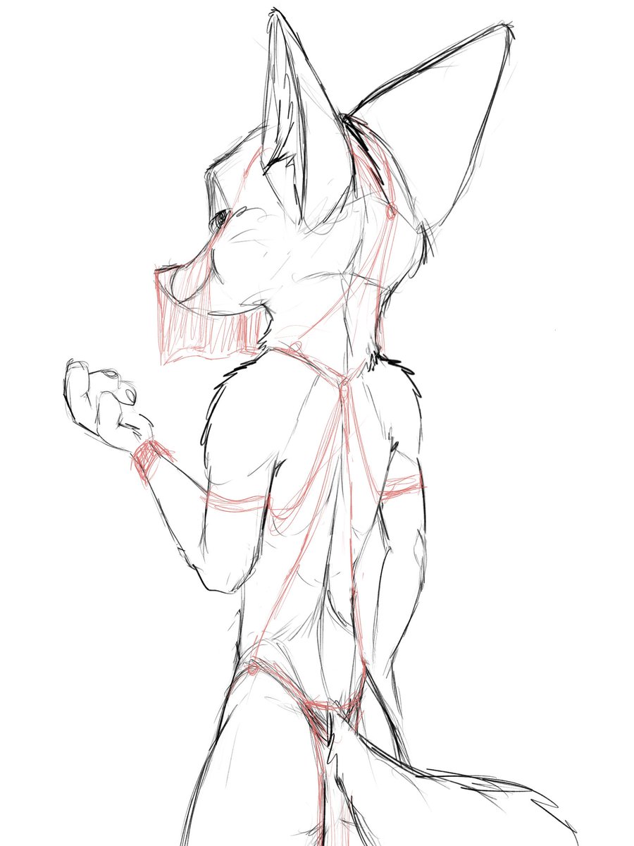 Link6432 (Black) tweet media