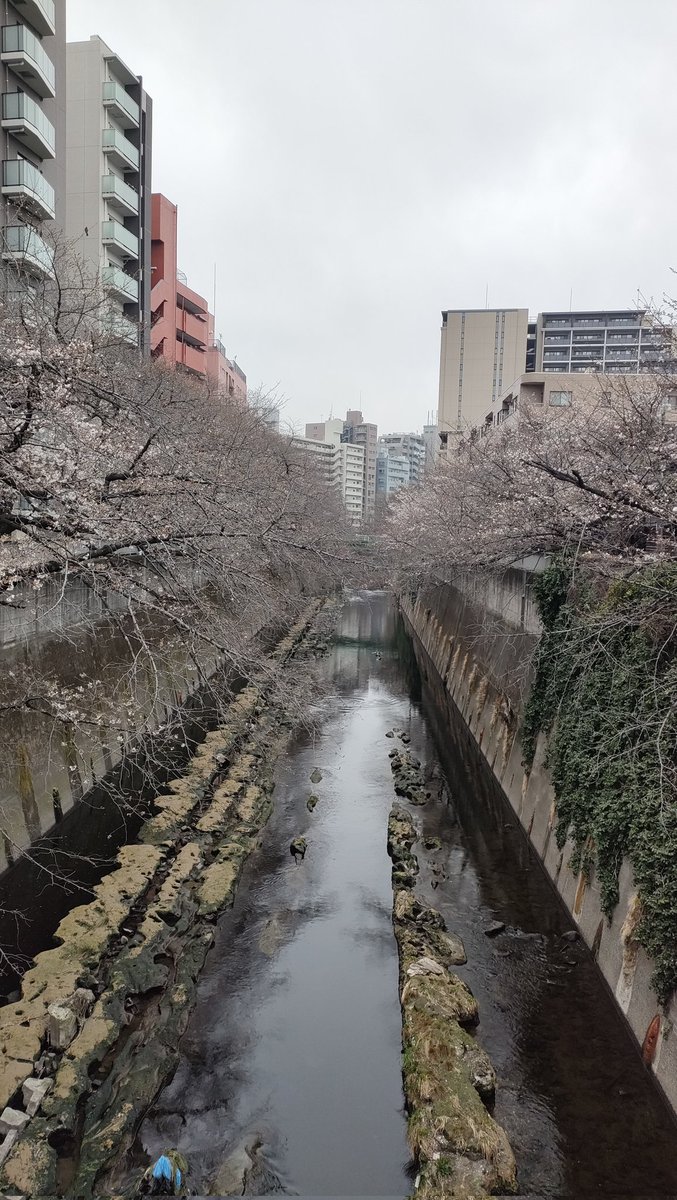 25th【スタジオイブキ】モーションキャプチャースタジオ tweet media