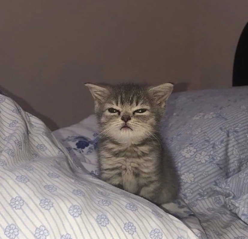 Vincent Gehrke tweet media